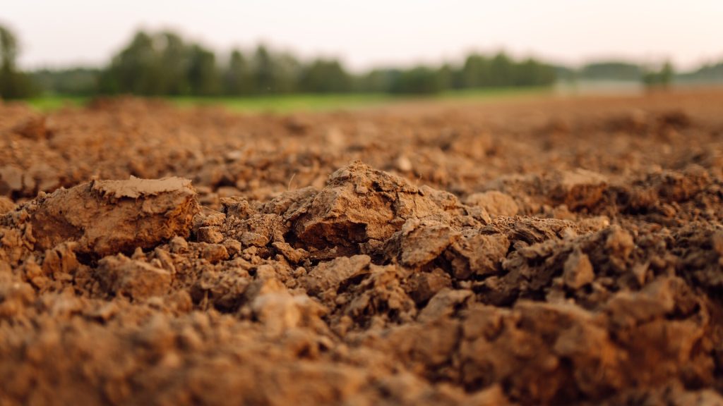 Clay soil in Macomb county